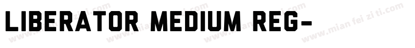 Liberator Medium Reg字体转换